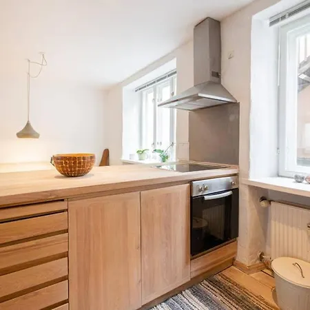 Spacious Flat In A Central, But Calm Area Of Cph 아파트